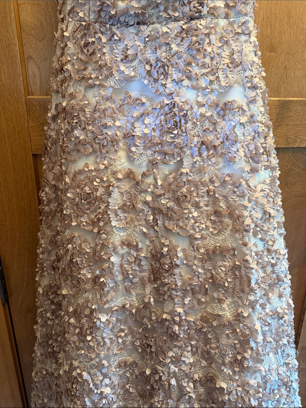 Beautiful Appliqué Floral V-Neck A-Line Wedding Dress in Cream Champaign size 4 - Picture 3 of 10